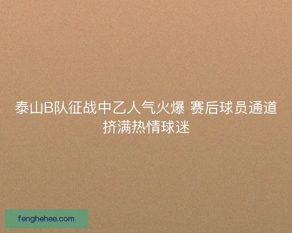 泰山B队征战中乙人气火爆 赛后球员通道挤满热情球迷